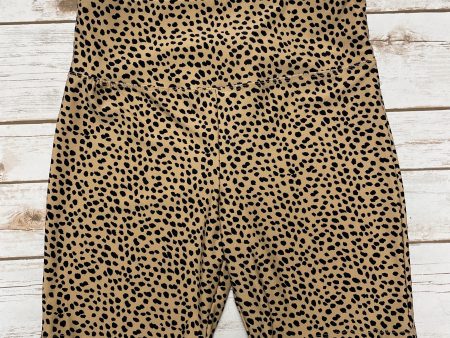 Athletic Shorts By Forever 21 In Leopard Print, Size: M Online Hot Sale