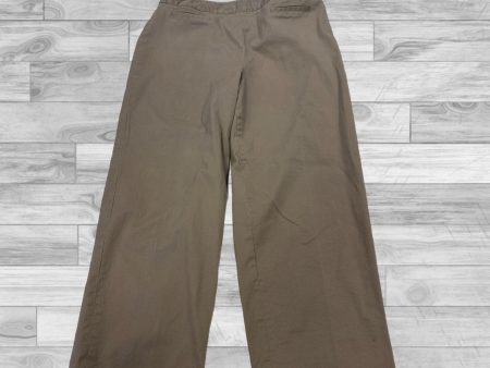 Pants By Rafaella In Brown, Size: 4 Supply