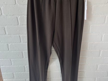 Pants Other By Soft Surroundings In Brown, Size: 8 For Discount