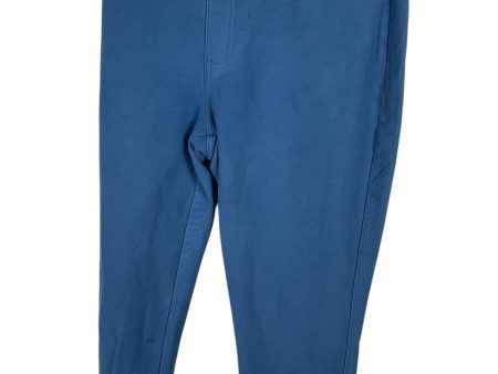 Pants Designer By Michael By Michael Kors In Blue, Size: L Online Sale