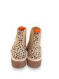 Boots Ankle Flats By Dolce Vita In Leopard Print, Size: 6.5 Online Sale