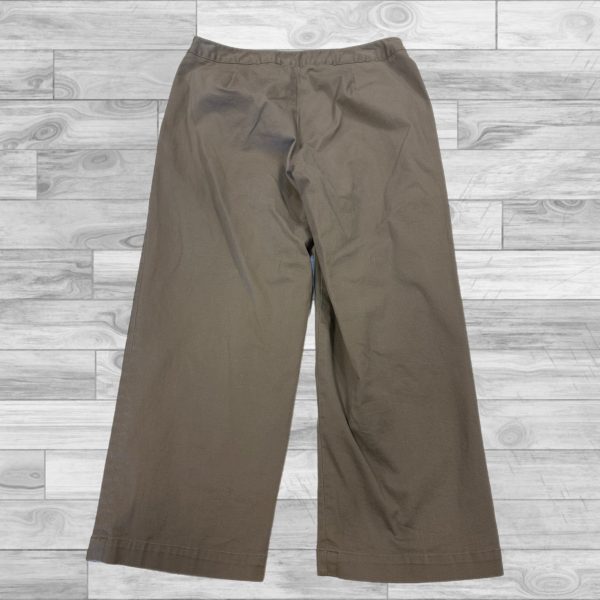 Pants By Rafaella In Brown, Size: 4 Supply