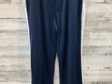 Athletic Pants By Danskin In Blue, Size: L Fashion