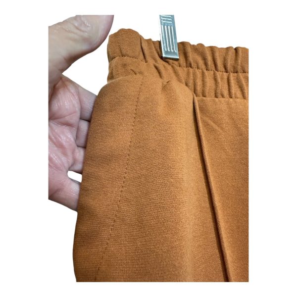 Pants Ankle By A New Day In Rust, Size: Xs For Discount