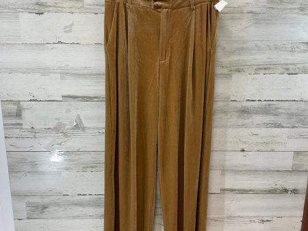 Pants Ankle By MOLLY BRACKEN In Camel, Size: L Sale