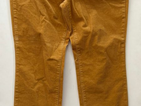 Pants Corduroy By Talbots O In Mustard, Size: 14p Online Sale